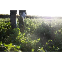 Rubberlaarzen Met Plooi 520 13 Rubberlaarzen Met Plooi 520 -Mode Schoenen rubberlaarzen met plooi 520 5